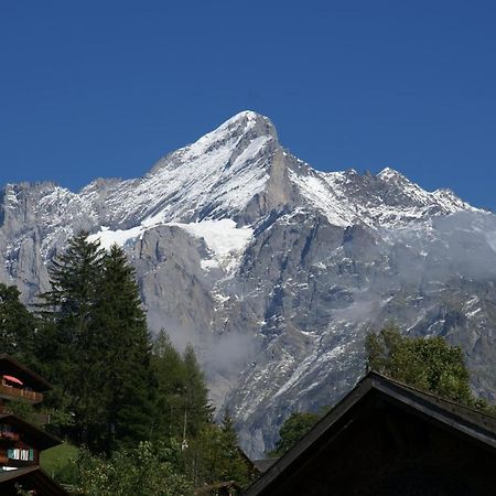 Apartment Baereggblick - Griwa Rent Ag Grindelwald Buitenkant foto