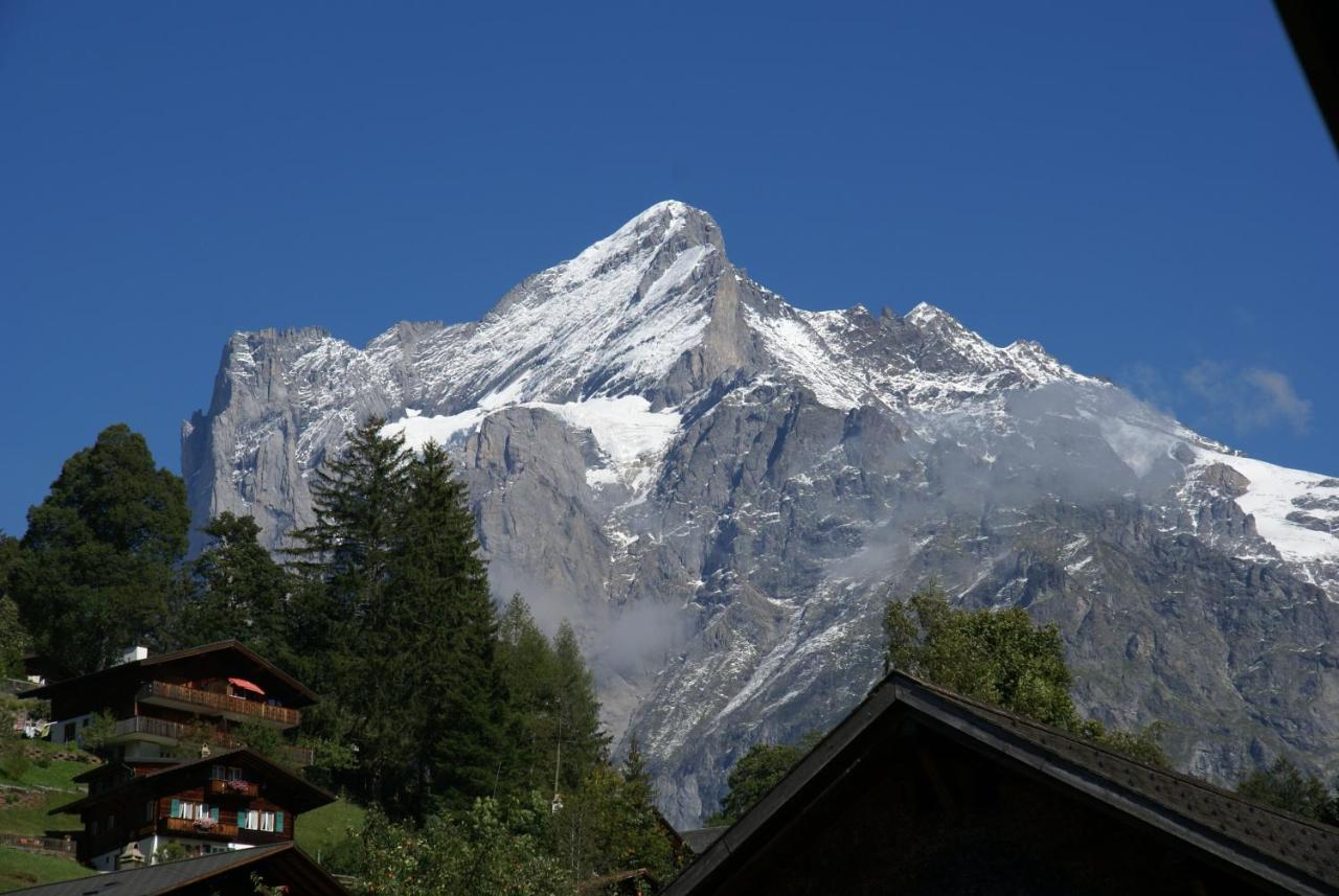 Apartment Baereggblick - Griwa Rent Ag Grindelwald Buitenkant foto